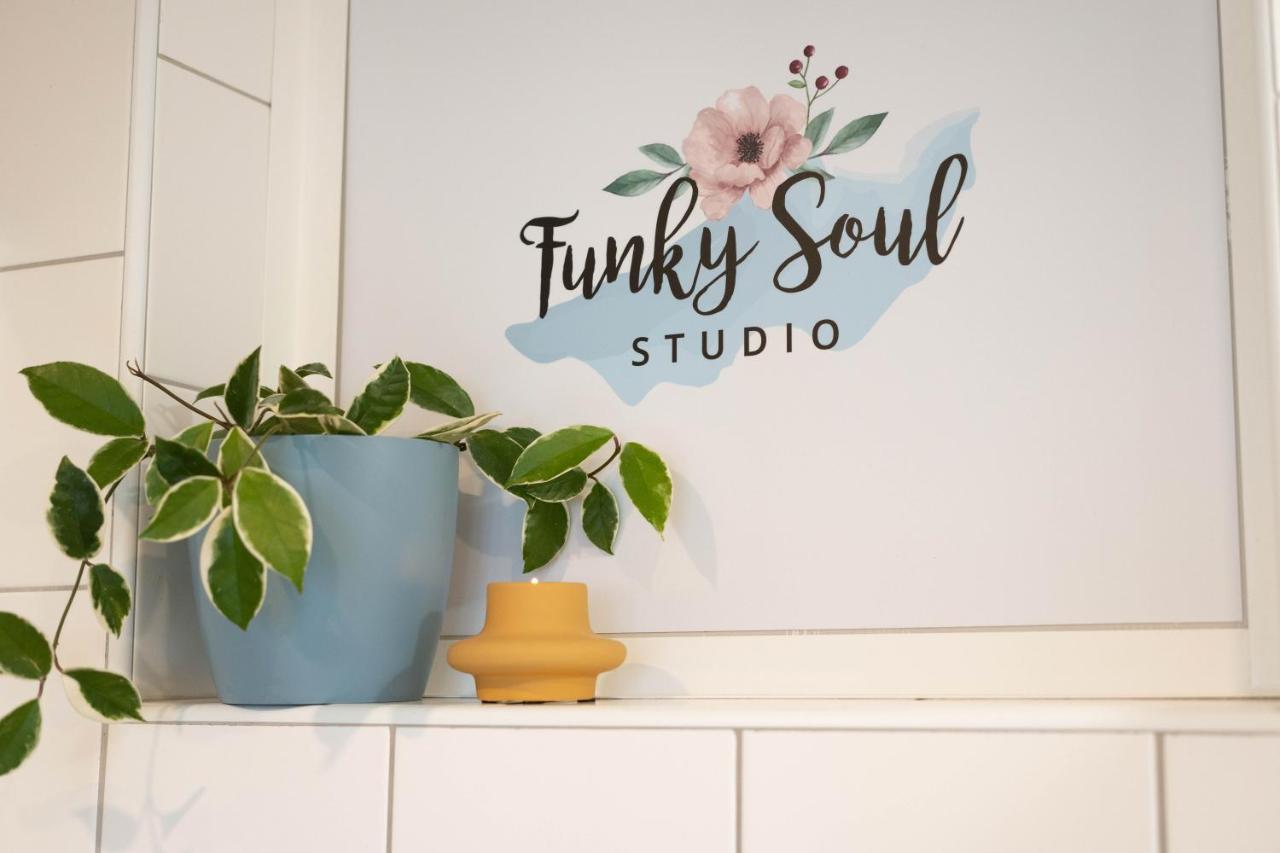 Funky Soul Studio Zirovnica Екстериор снимка